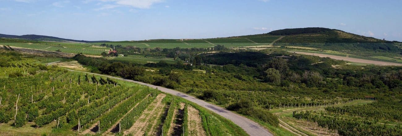 Tokaj gebied